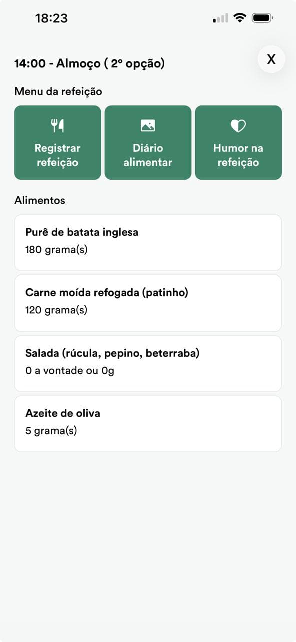 Tela de diário alimentar do WebDiet para registrar refeições